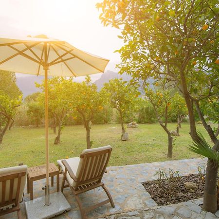 Finca Can Coll Boutique Country House - Adults Only Сольєр Екстер'єр фото